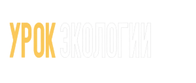 Урок экологии